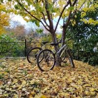 Stomio 4 Seasons